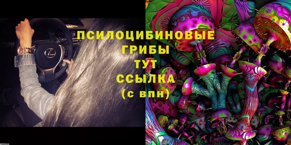МДМА Белокуриха