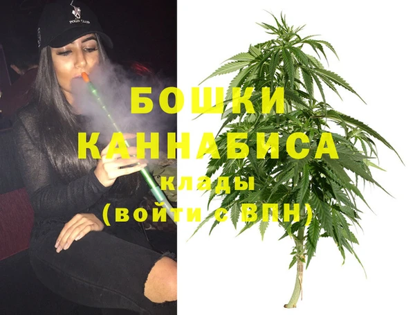 ПСИЛОЦИБИНОВЫЕ ГРИБЫ Семилуки